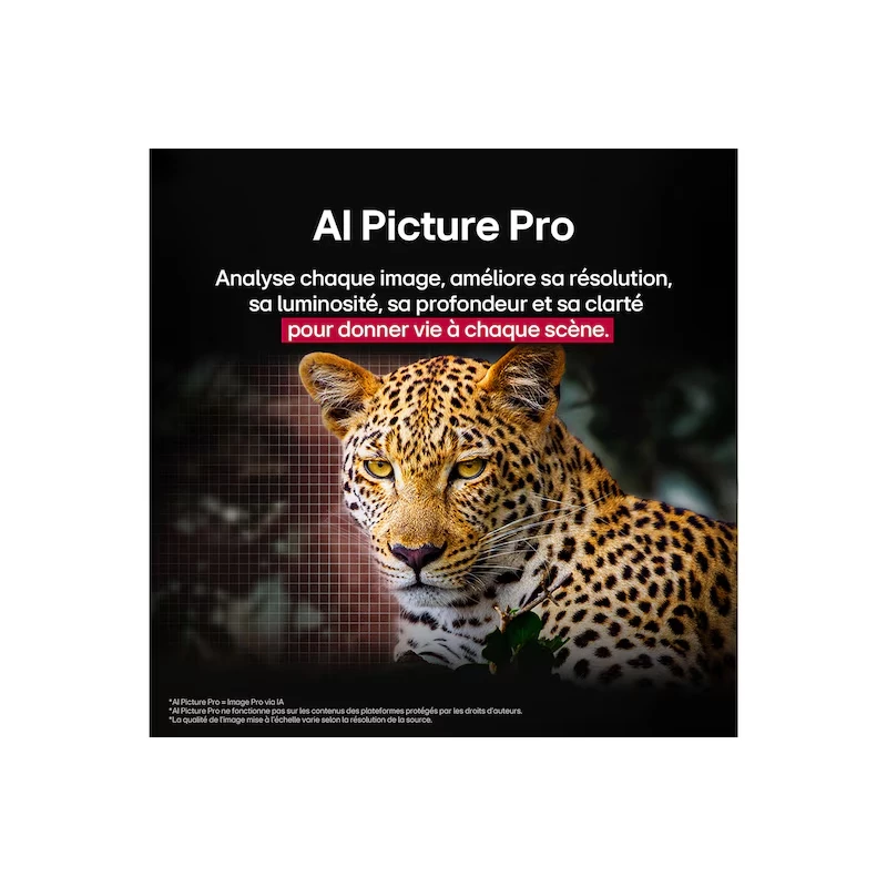 TV LG OLED C5 – 83 pouces TV LG OLED C5 – 83 pouces