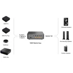 Pack Multiroom Wiim VibeLink et Sélecteur 4 zones