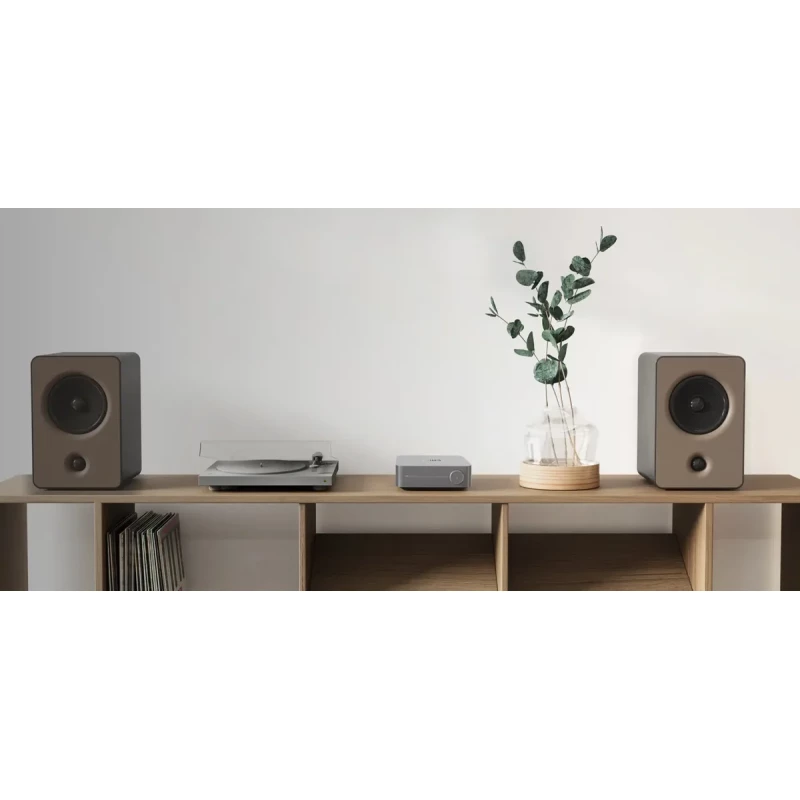 Pack Multiroom Wiim Amp et Sélecteur 4 zones