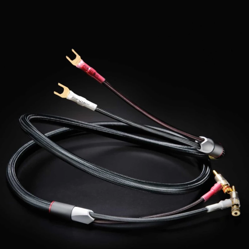 Evolution II speaker