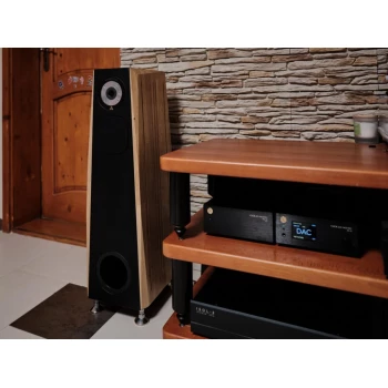 Pack HiFi Enceintes Atlantis AT 16 Pro avec Ampli MC2 HS800