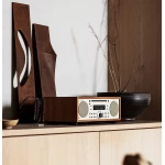 Tivoli Music System +