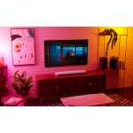 Pack Home Cinema Bluesound Pulse Mini 5.1