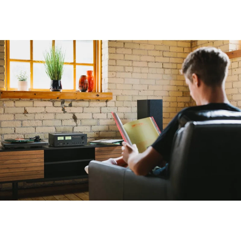 C3030 Amplificateur Stéréo