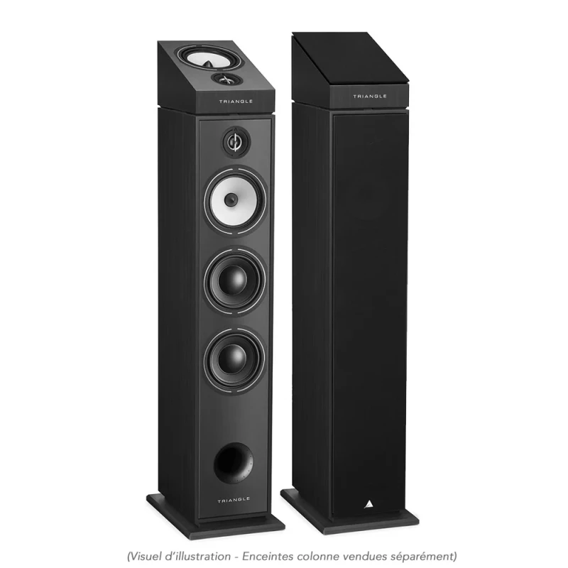 Borea BRA Enceinte d'effets Atmos - La paire