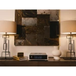 M33 v2 - Amplificateur Stéréo intégré