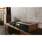 C3050 SE - Amplificateur intégré Stéréo Standard Edition