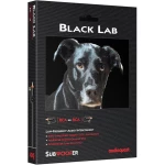 Câble Subwoofer Black Lab