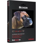 Câble Subwoofer Boxer