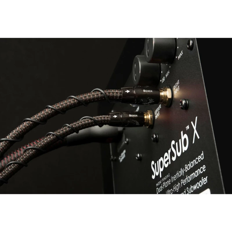 Câble Subwoofer Boxer