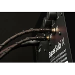 Câble Subwoofer Boxer