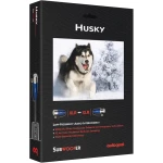 Câble Subwoofer Husky XLR