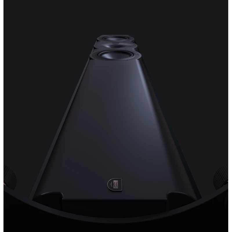 R5t - Enceinte colonne THX Dominus THX Ultra - La paire