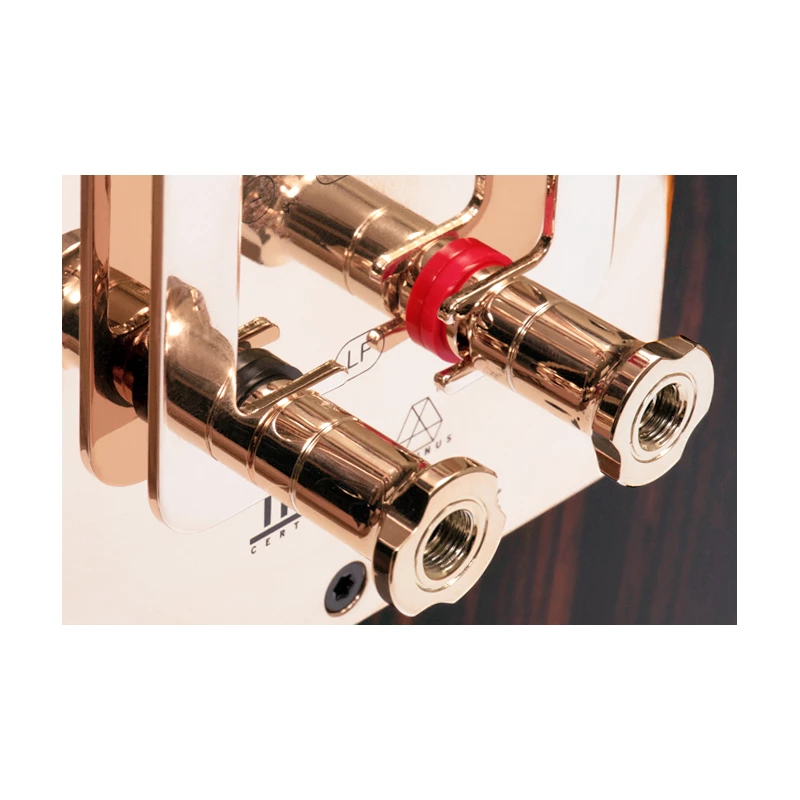 S5t - Enceinte colonne THX Dominus - La paire