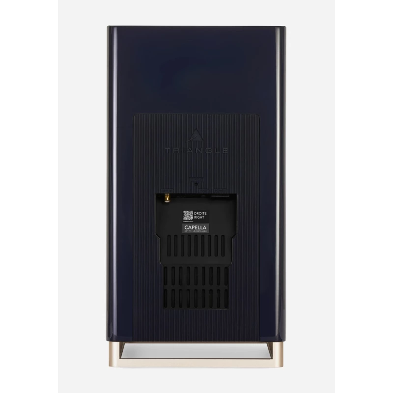 Capella 2 - Enceintes bibliothèques connectées - La paire