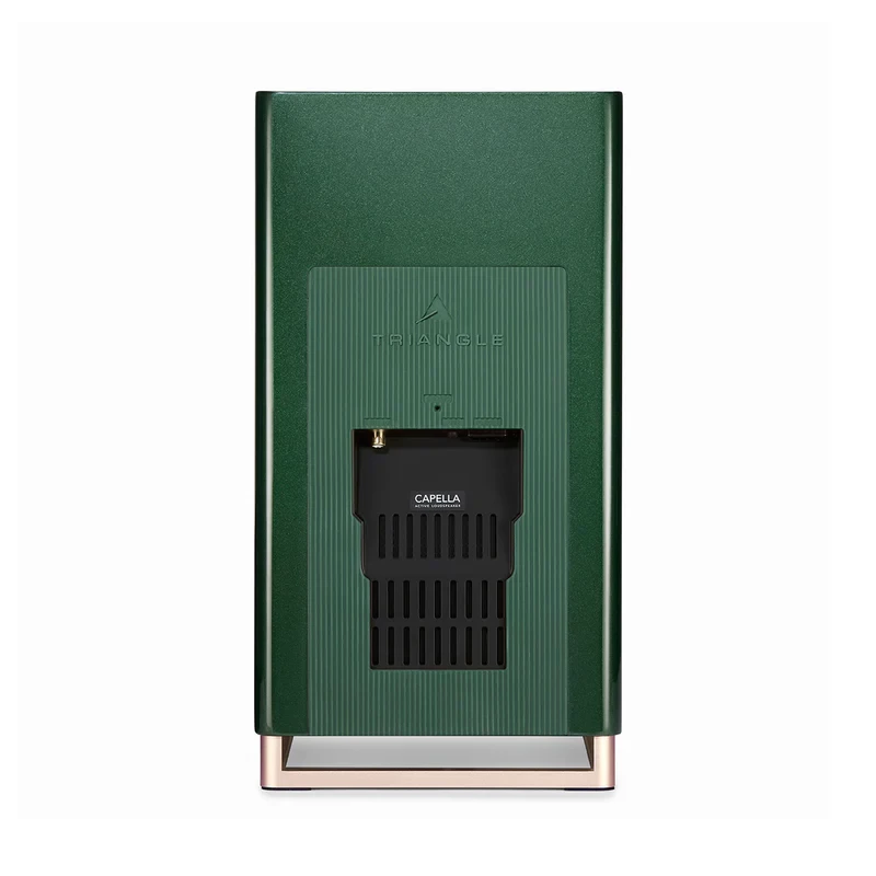 Capella 2 - Enceintes bibliothèques connectées - La paire