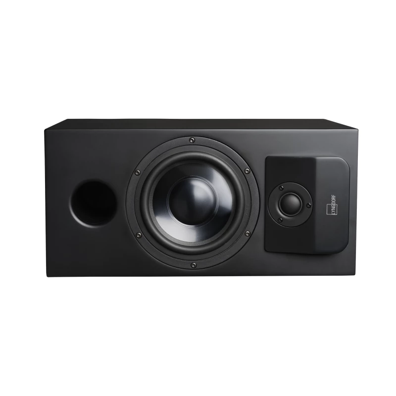 CS-1 Enceinte large bande