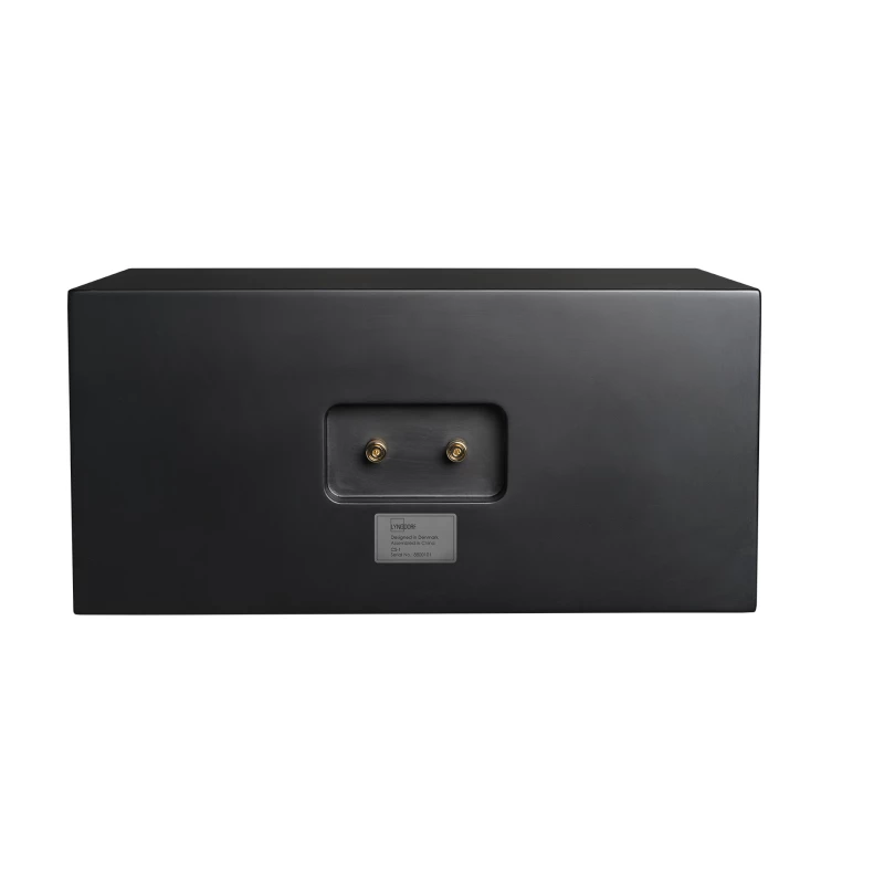 CS-1 Enceinte large bande