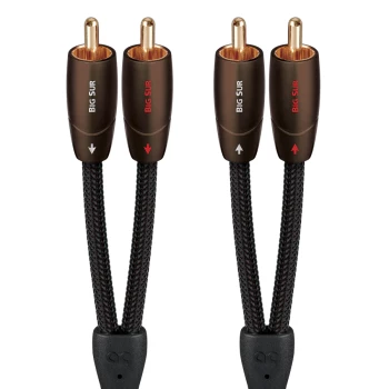 Big Sur - Câble de modulation analogique-audio RCA