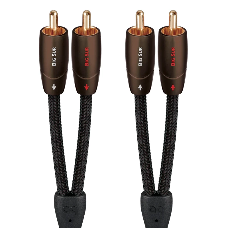 Big Sur - Câble de modulation analogique-audio RCA