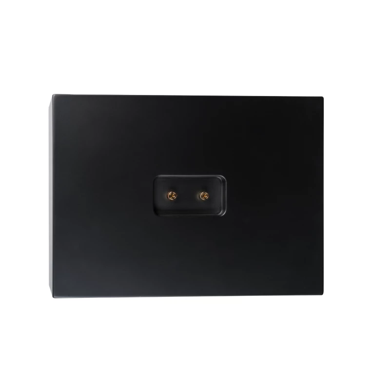 CS-2 Enceinte large bande