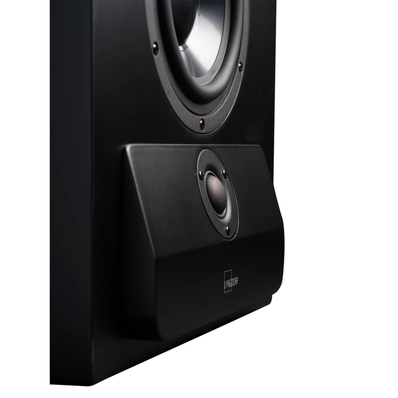 CS-2 Enceinte large bande