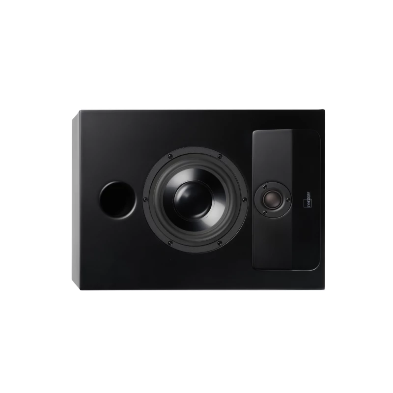 CS-2 Enceinte large bande