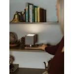 Tivoli Revive - Enceinte Bluetooth