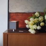 Tivoli Revive - Enceinte Bluetooth