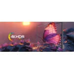 Pool Pro 2.0 - TV extérieur Google