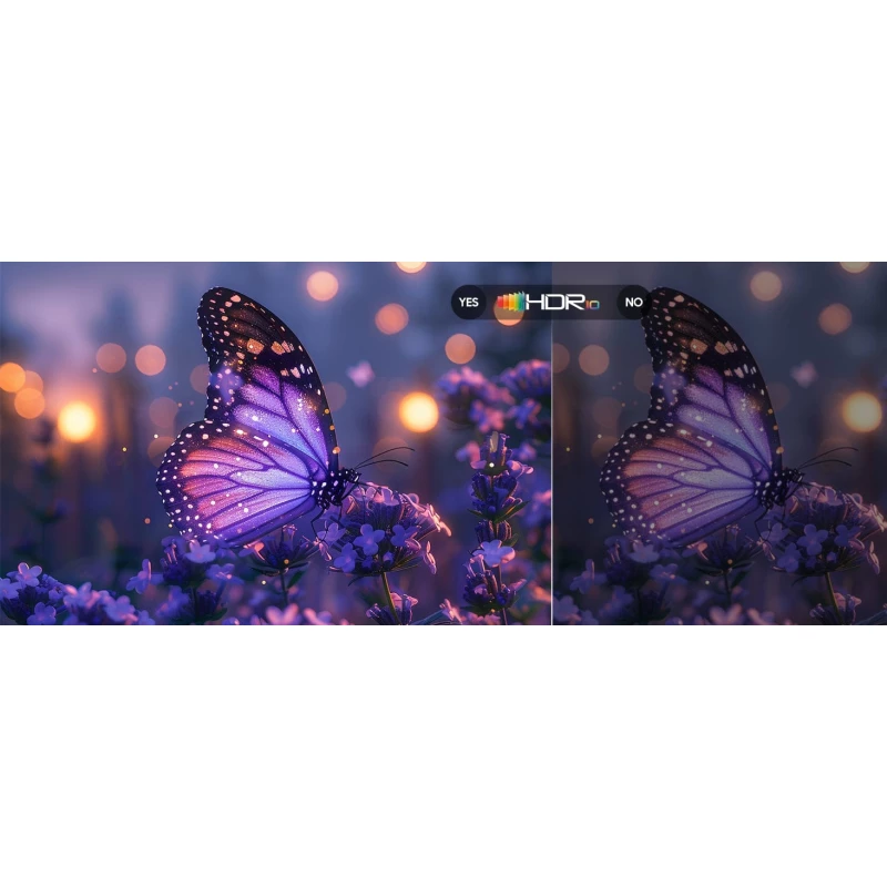 Pool Pro 2.0 - TV extérieur Google