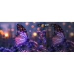 Pool Pro 2.0 - TV extérieur Google