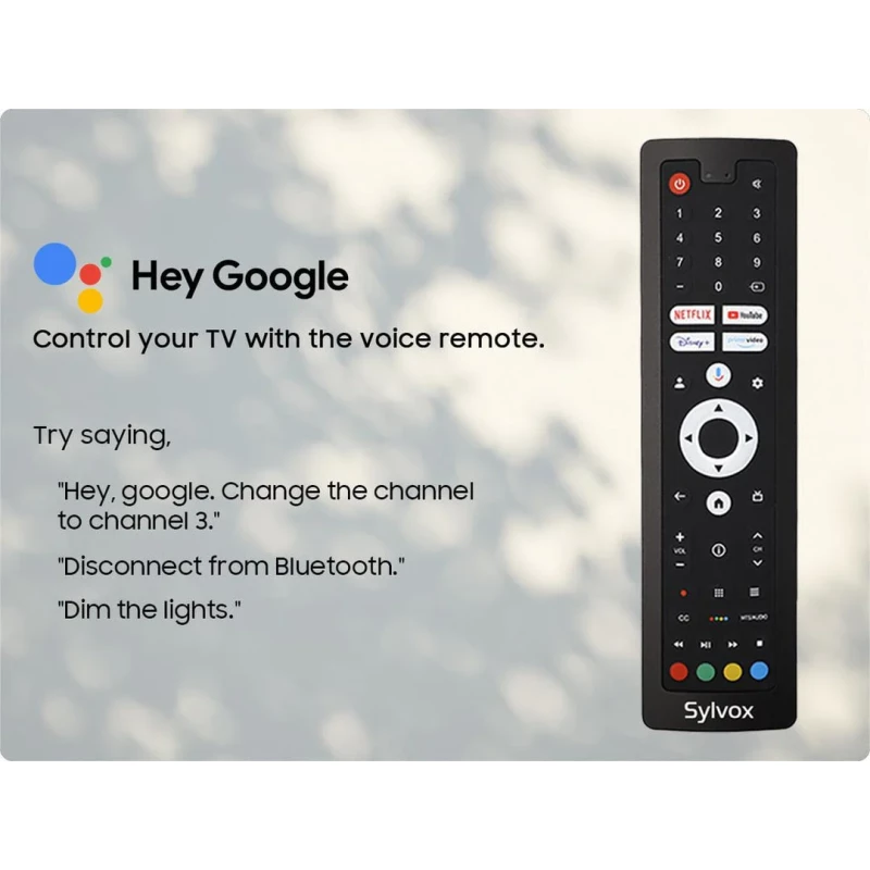 Pool Pro QLED 2.0 - TV extérieur Google