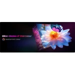 Pool Pro QLED 2.0 - TV extérieur Google