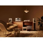 TT-15S1 Platine vinyle