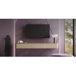 TV Loewe We See OLED - 42 pouces DC
