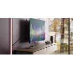 TV Loewe We See OLED - 42 pouces DC