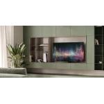 TV Loewe We See OLED - 65 pouces DC
