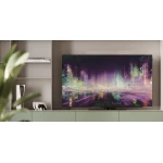 TV Loewe We See OLED - 55 pouces DC