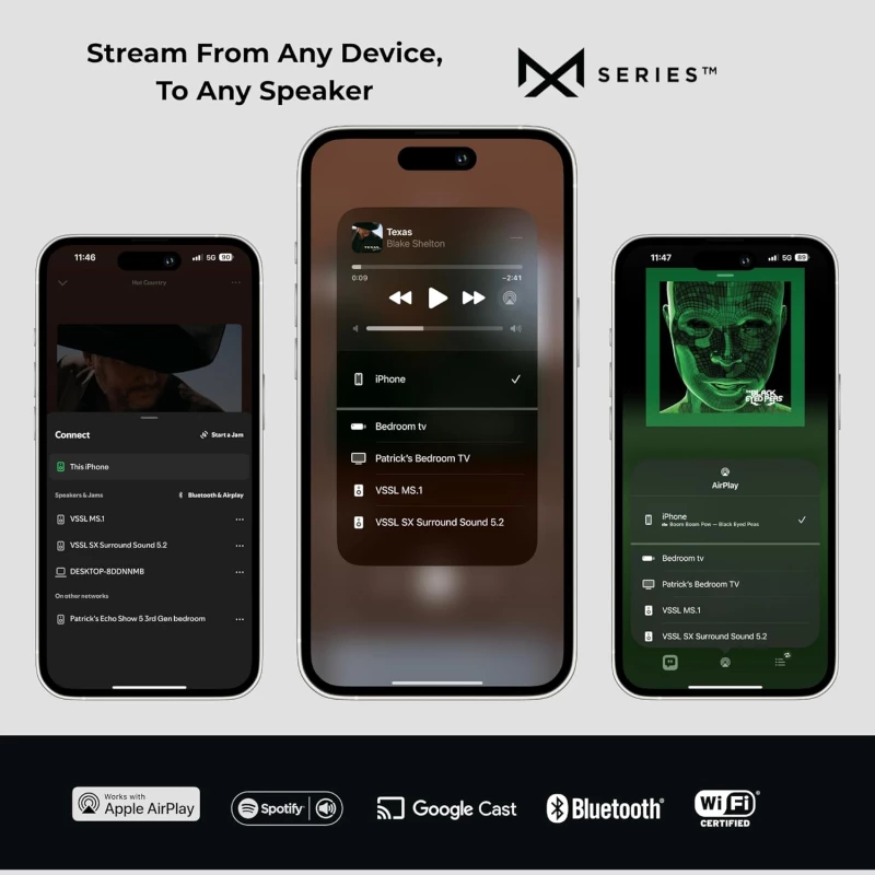 MS.1 - Streamer audio passif