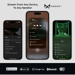 MS.1 - Streamer audio passif