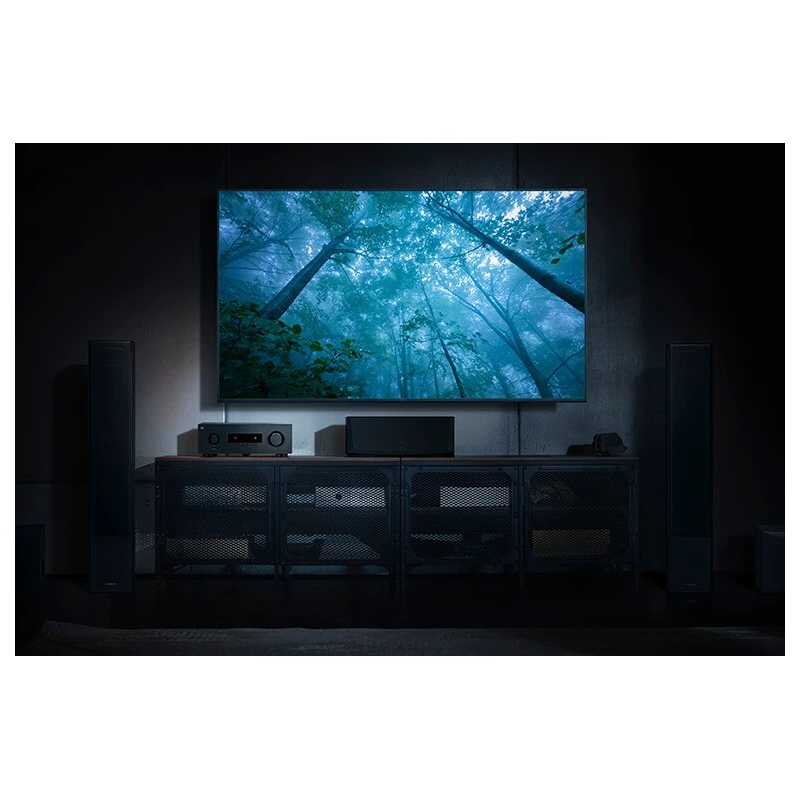 RX300A - Ampli tuner AV 5.2 canaux
