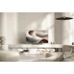 TV Loewe Antares - 77 pouces