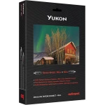 Yukon - Câble de modulation analogique-audio RCA