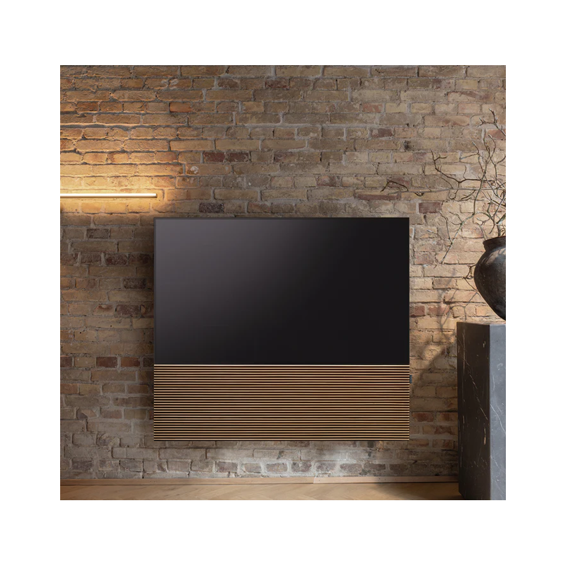 Pack Canvas Hifi avec TV LG OLED C4 - 55 pouces