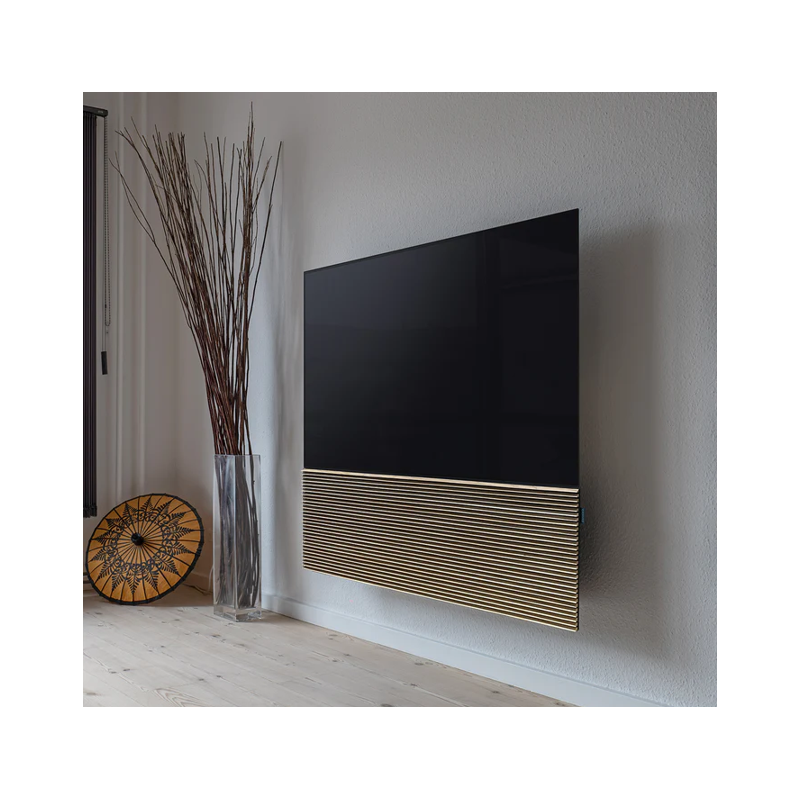 Pack Canvas Hifi avec TV LG OLED C4 - 55 pouces