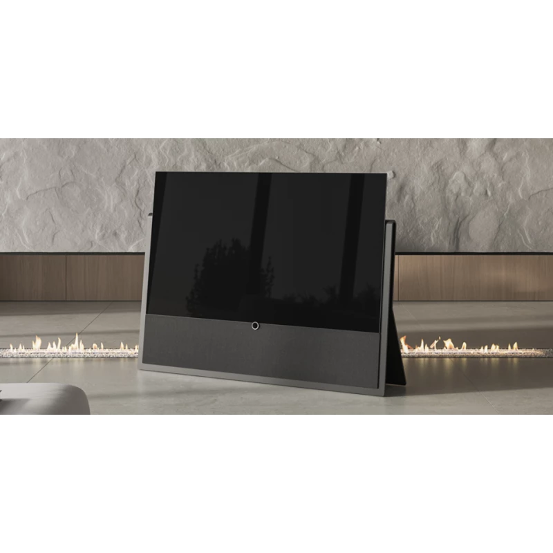 TV Loewe Oled Iconic - 65 pouces
