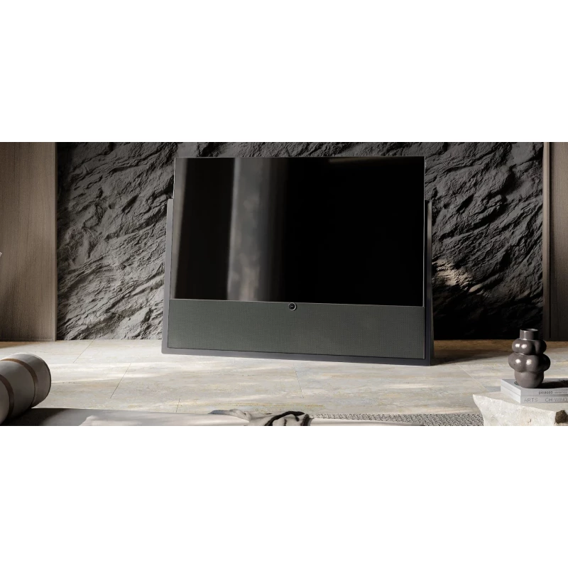 TV Loewe Oled Iconic - 65 pouces