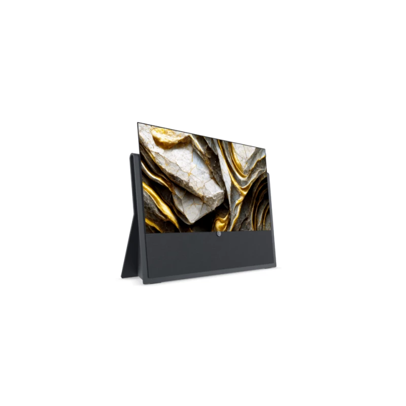 TV Loewe Oled Iconic - 65 pouces