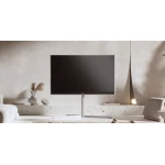 TV Loewe Stellar Oled DR+ - 42 pouces